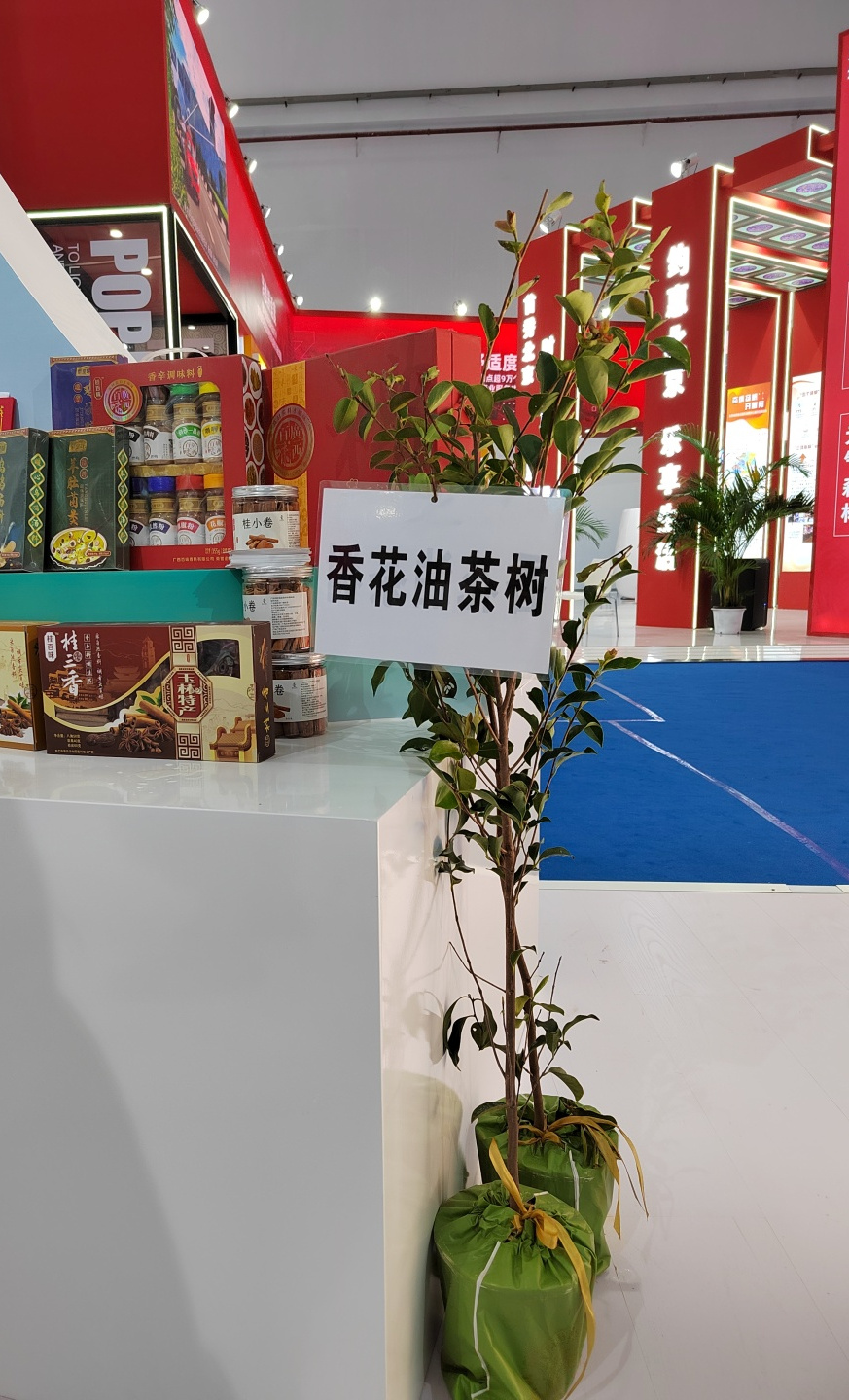 展会直击｜香花山茶油亮相第二届中国国际消博会，油茶树成焦点